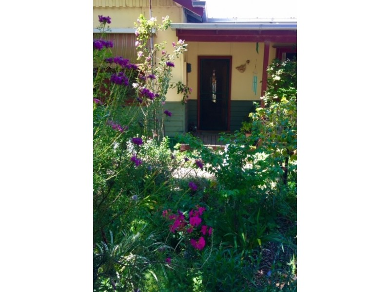 6868 Great Alpine Road, Swifts Creek VIC 3896