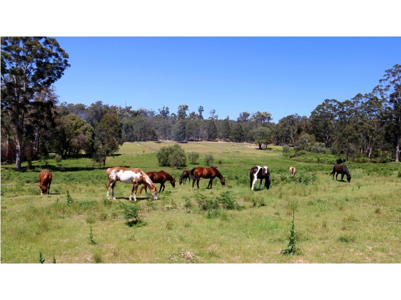 45 Tinks Road, Manjimup WA 6258