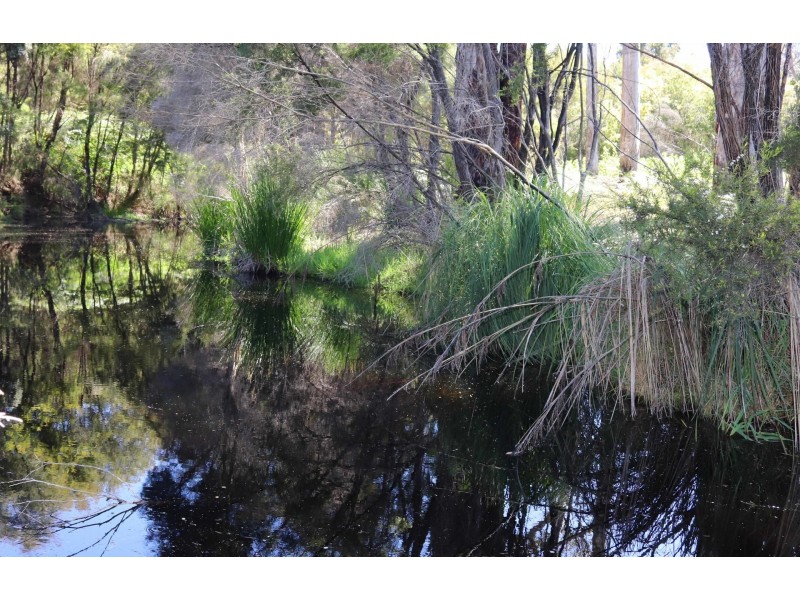 45 Tinks Road, Manjimup WA 6258