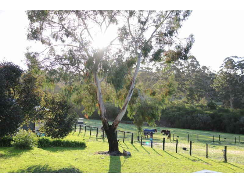 45 Tinks Road, Manjimup WA 6258