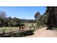 45 Tinks Road, Manjimup WA 6258