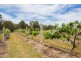 15 Pinnacle Place, Marlee via, Wingham NSW 2429