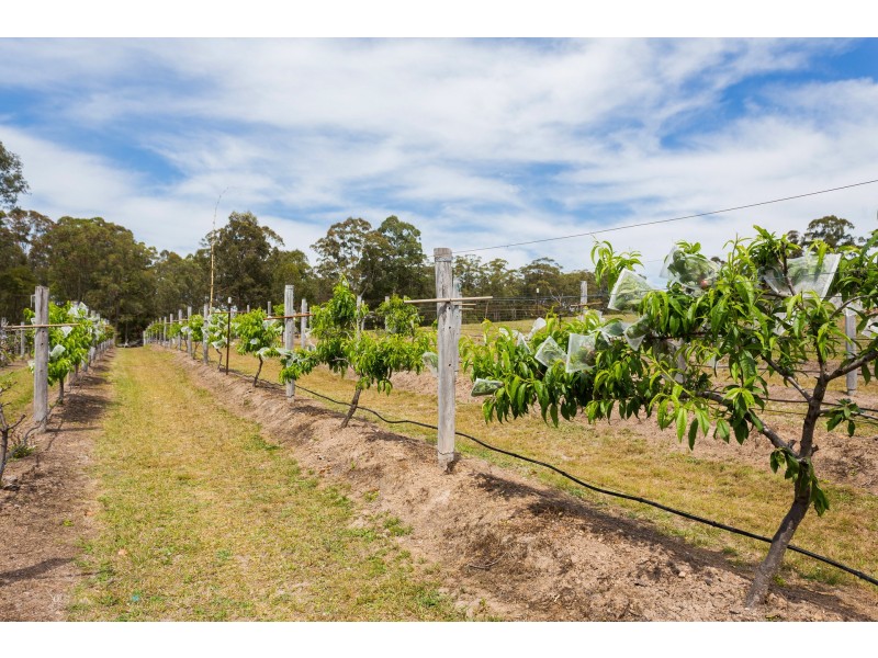 15 Pinnacle Place, Marlee via, Wingham NSW 2429