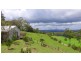 302 Promised Land Road, Gleniffer, Bellingen NSW 2454