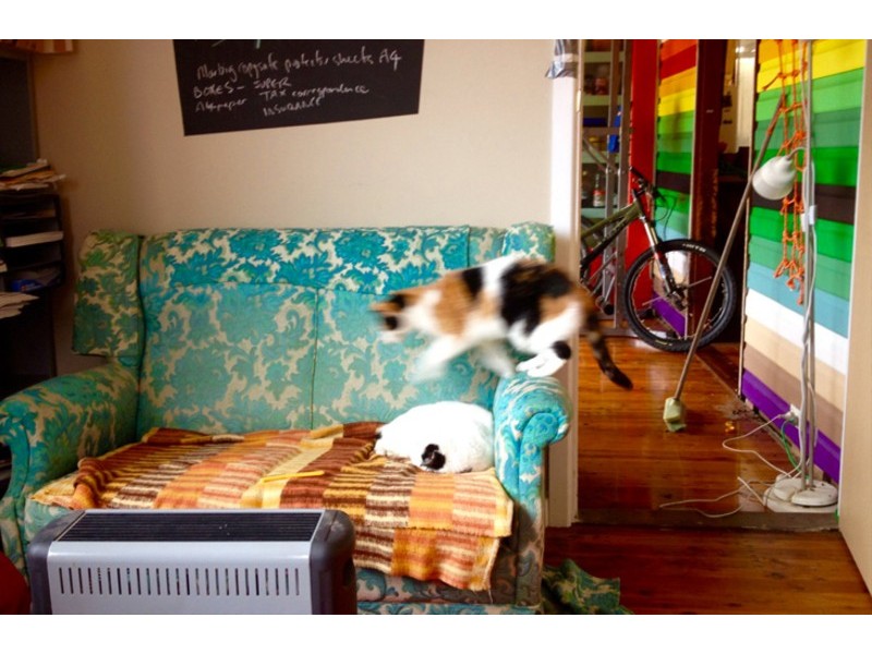 28 Hexham Street, Kahibah NSW 2290