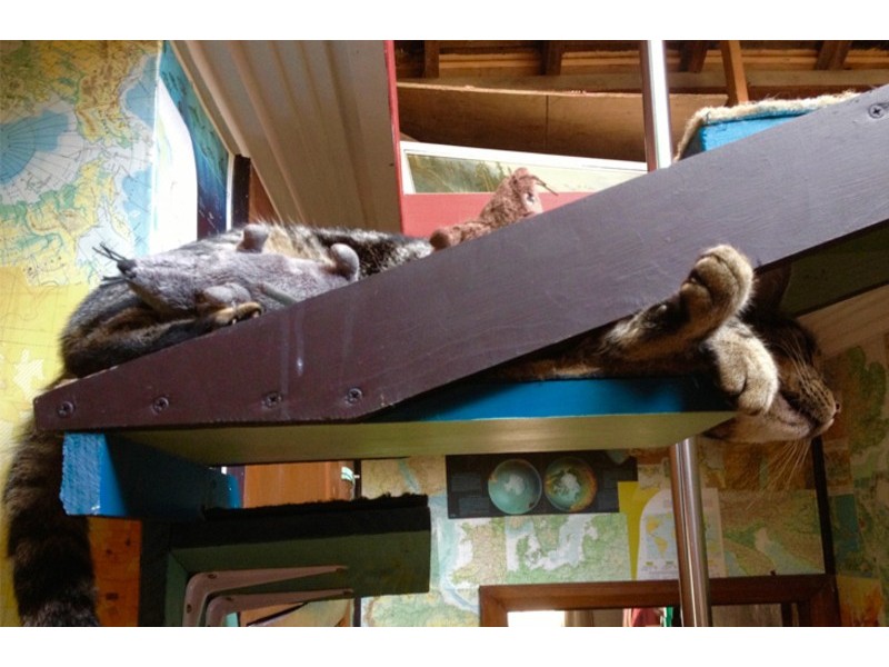 28 Hexham Street, Kahibah NSW 2290