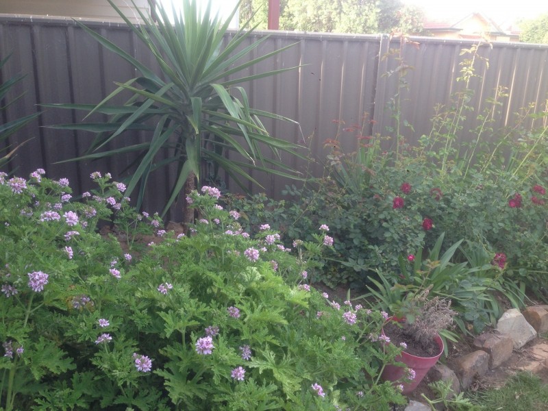 12 Stewart Street, Numurkah VIC 3636