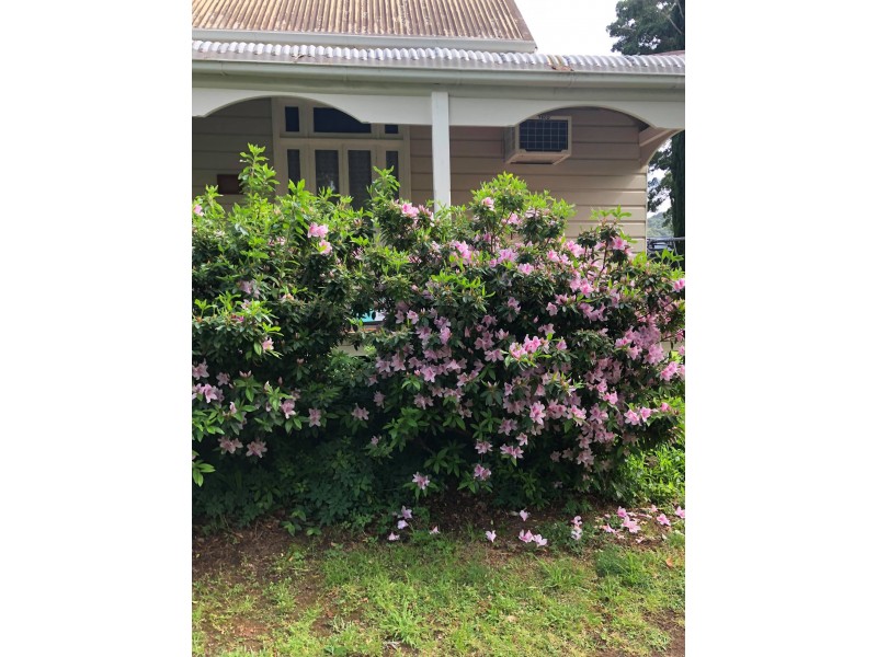 516 Donovan Road, Broughton NSW 2535