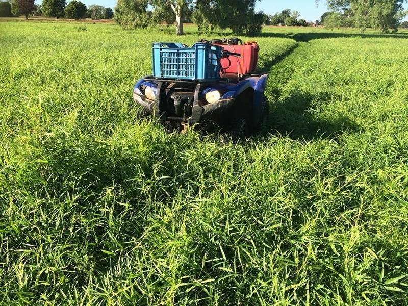 240 Cossack Road, Katherine NT 0850