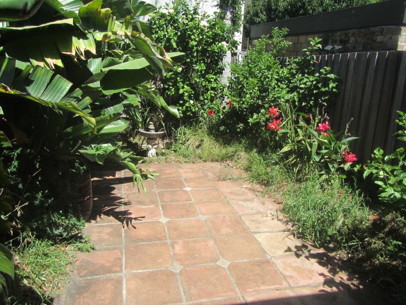 149 Probert, Newtown NSW 2042
