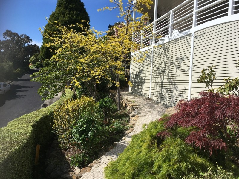 1 Capri Drive, Sandy Bay TAS 7005