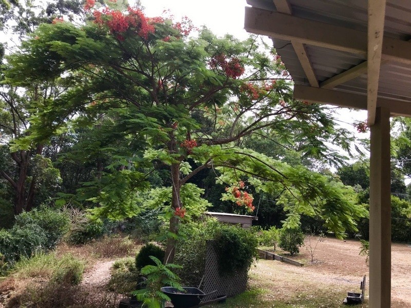 240 Skinners Shoot Rd, Byron Bay NSW 2481