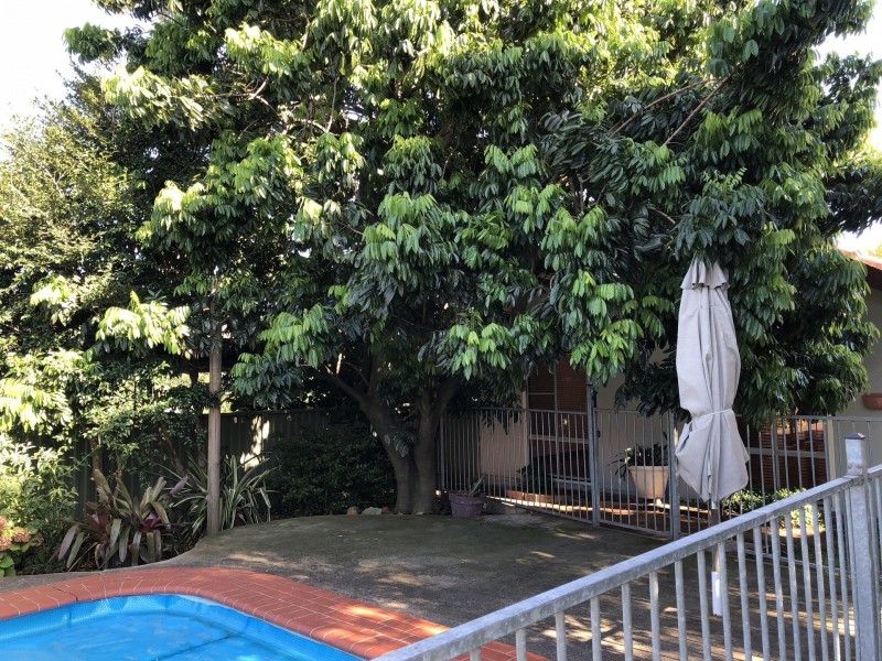 34 Essington St, Wentworthville NSW 2145