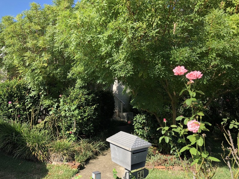 34 Essington St, Wentworthville NSW 2145