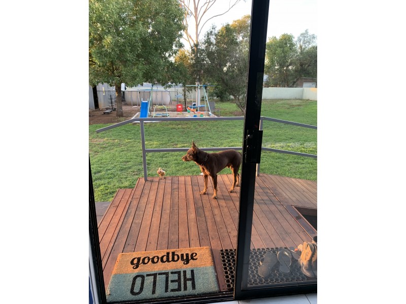 50 Bogan Street, Bogan Gate NSW 2876