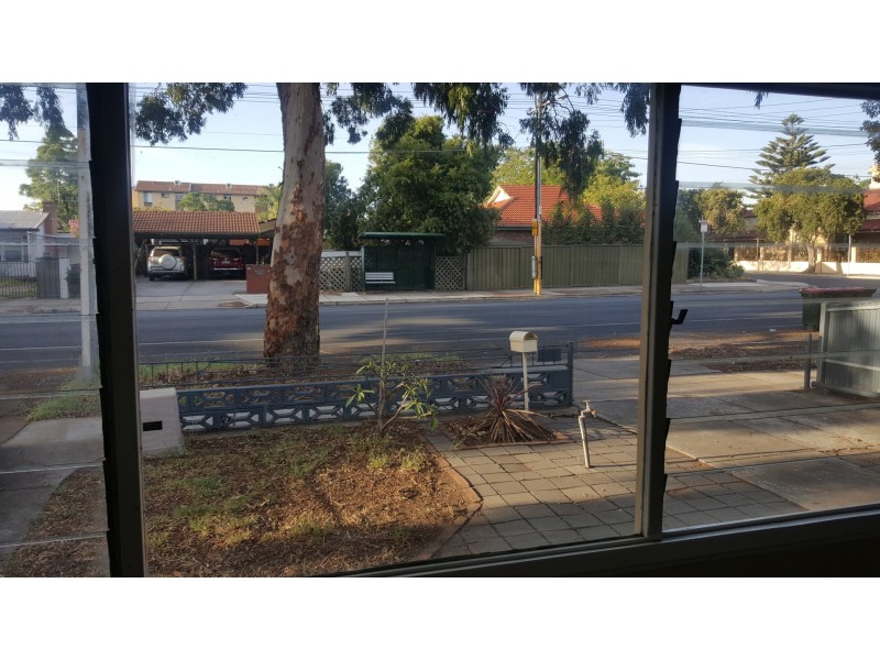 27 Everard Ave, Ashford SA 5035