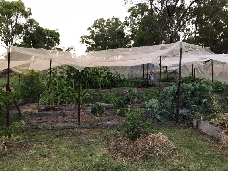 155 Cannon Creek Road, Stanthorpe QLD 4380