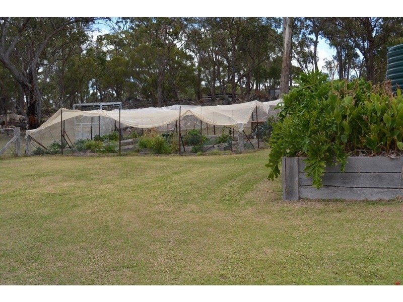 155 Cannon Creek Road, Stanthorpe QLD 4380