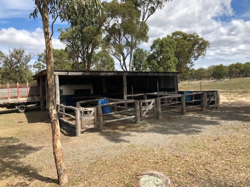 155 Cannon Creek Road, Stanthorpe QLD 4380