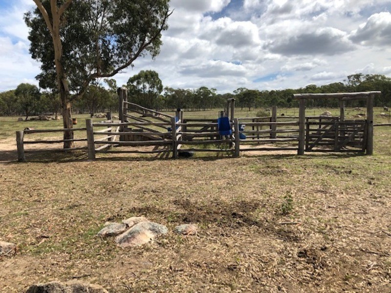 155 Cannon Creek Road, Stanthorpe QLD 4380