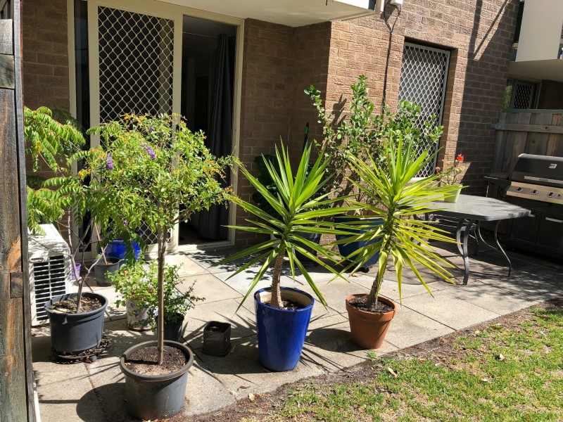 9/128 CARR STREET, West Perth WA 6005