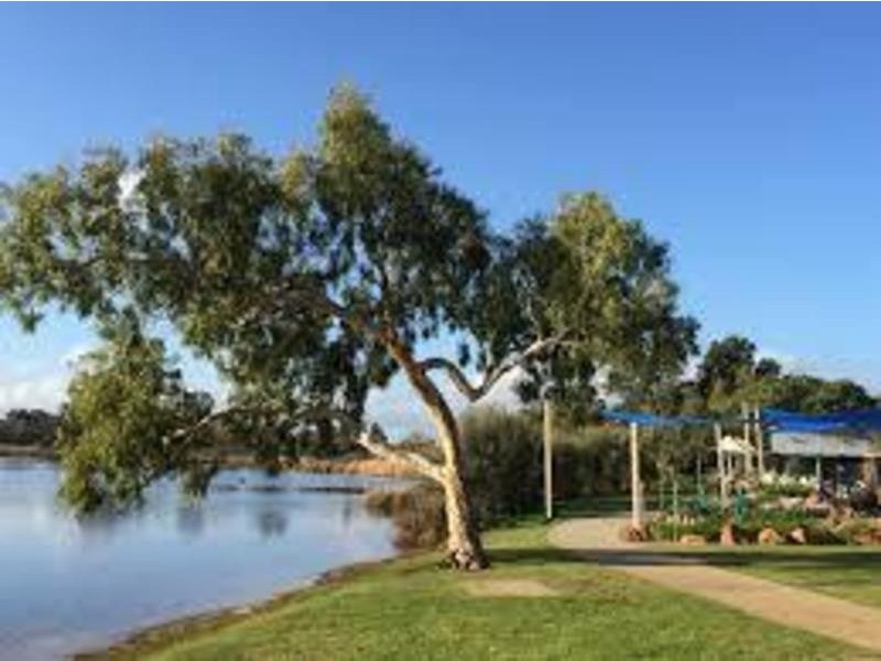 22 Surrey Road, Wilson WA 6107