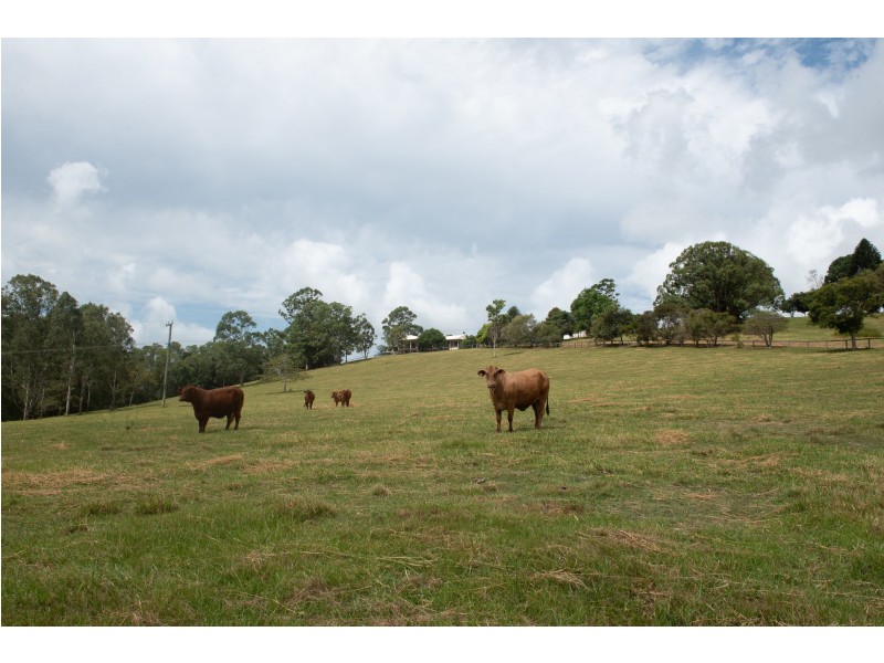 91 Lawnville Road, Cooroy QLD 4563