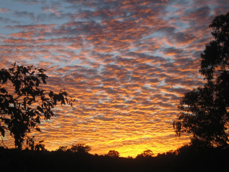 91 Lawnville Road, Cooroy QLD 4563