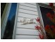 6 Allison Street, West Hobart TAS 7000