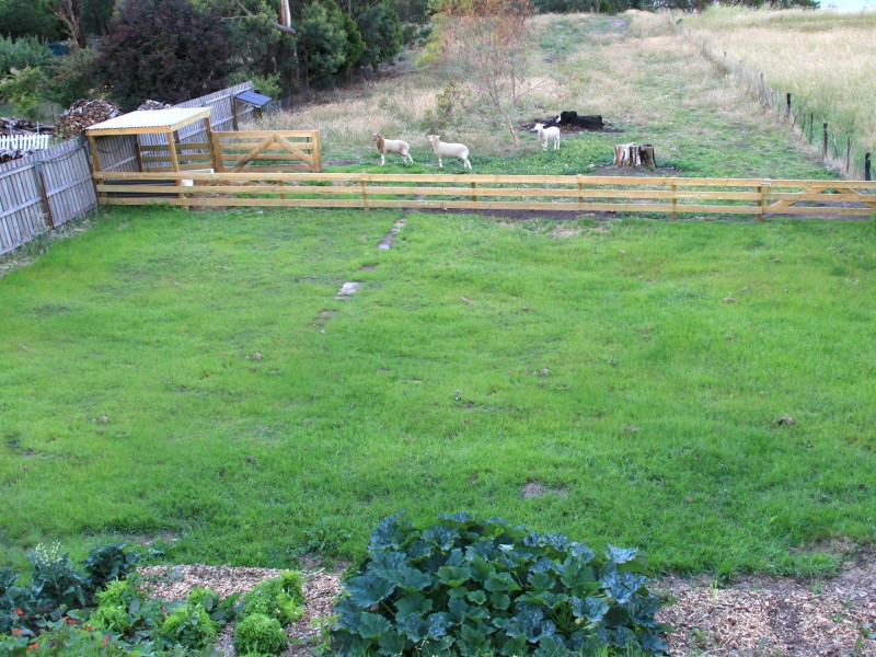 59 Talbot Road, South Launceston TAS 7249