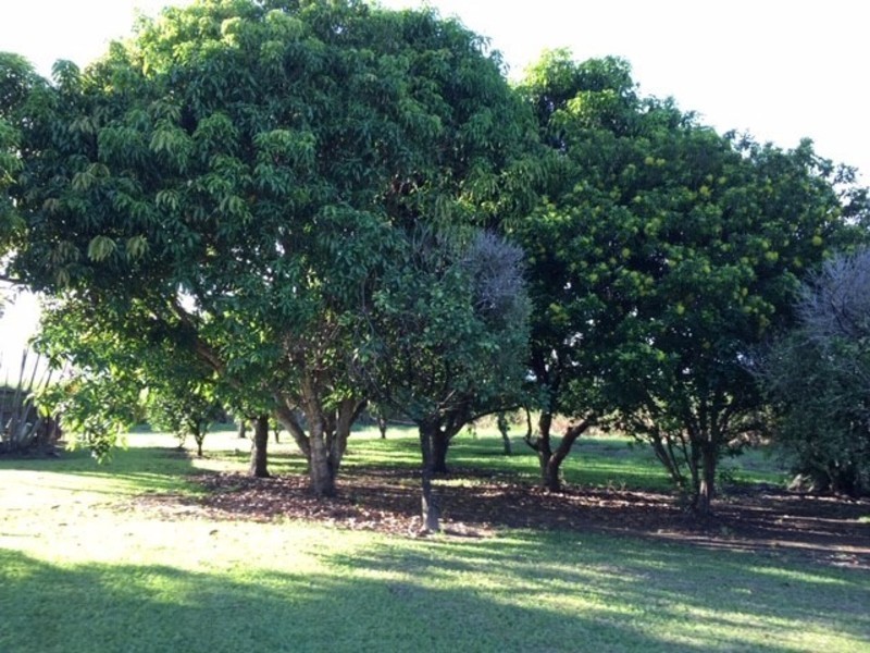 573 Halifax Road, Foresthome QLD 4850