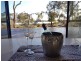 117 Murray Drive, Murray Bridge SA 5253