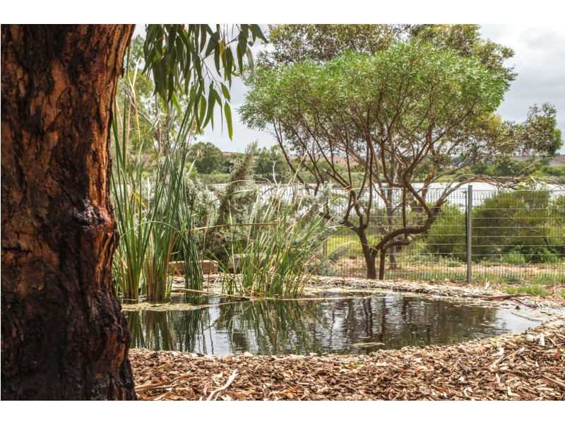 117 Murray Drive, Murray Bridge SA 5253