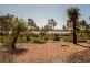 117 Murray Drive, Murray Bridge SA 5253
