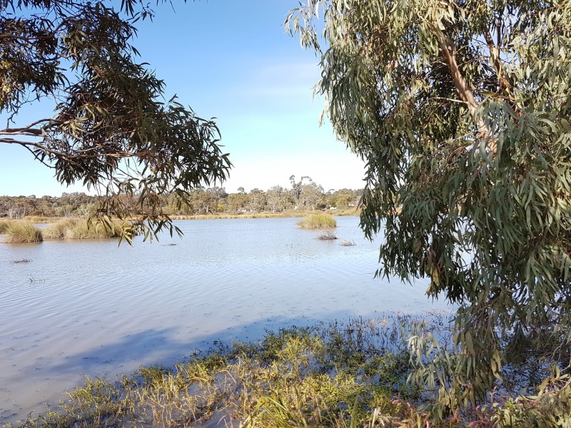 117 Murray Drive, Murray Bridge SA 5253