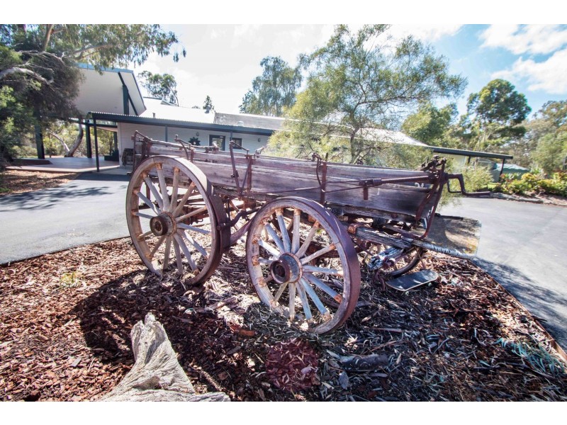 117 Murray Drive, Murray Bridge SA 5253