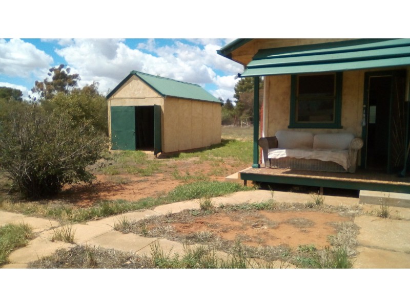 61 Young Street, Oaklands NSW 2646