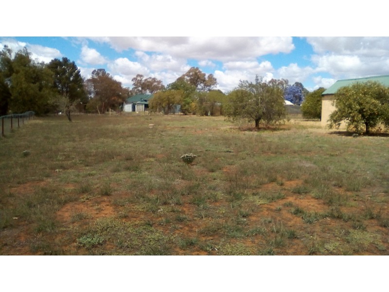 61 Young Street, Oaklands NSW 2646