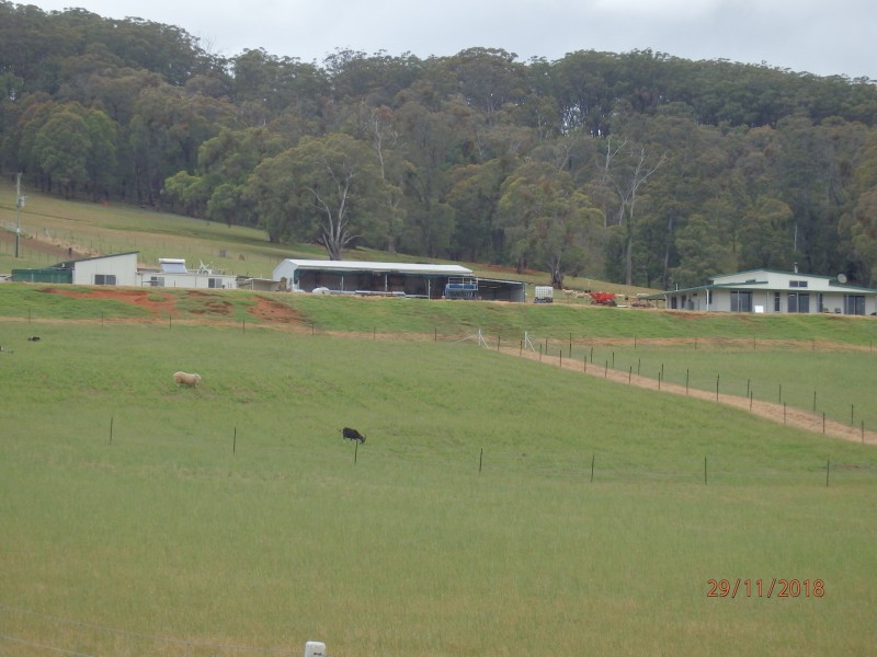 7721 Thunderbolts Way, Nowendoc NSW 2354