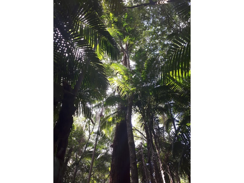 212 Gallaghers Lane, Ashby Heights NSW 2463