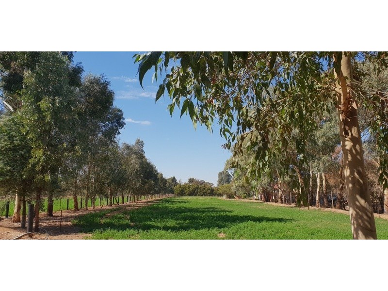 9 Palmer Road, Kyvalley VIC 3621