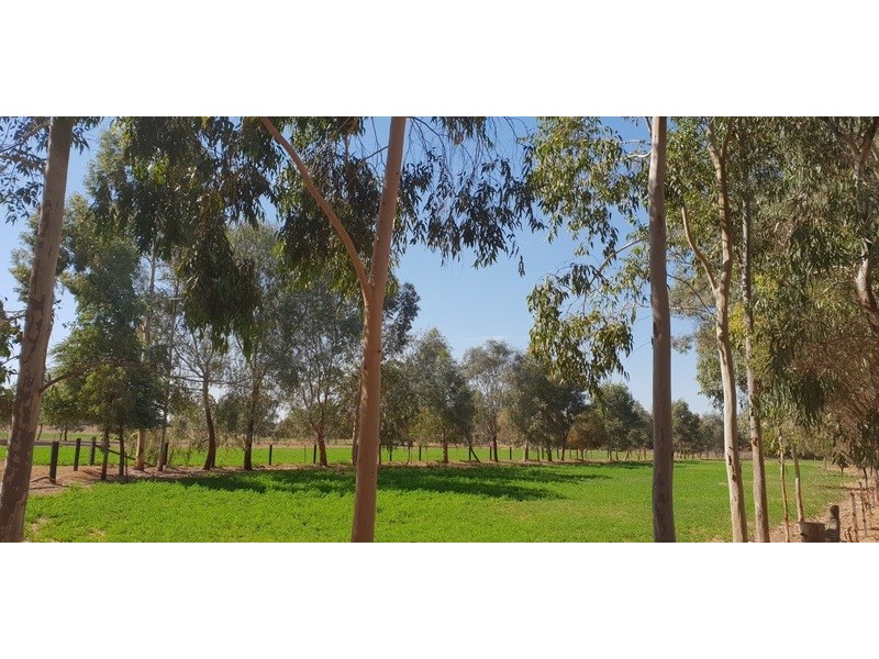 9 Palmer Road, Kyvalley VIC 3621