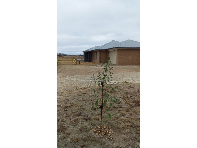 12 Church Road, Trawalla VIC 3373