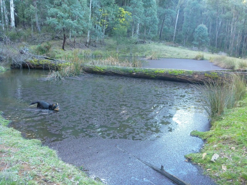 80 Bonds Road, Nariel Valley VIC 3707