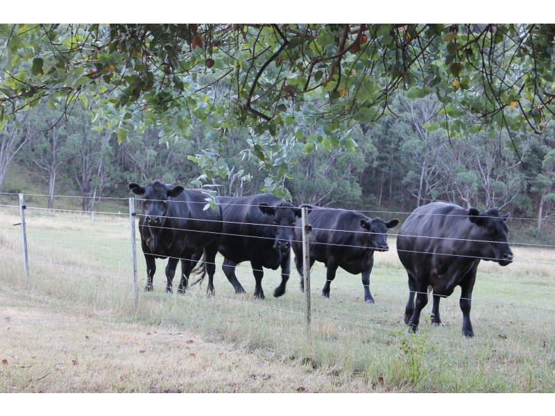 80 Bonds Road, Nariel Valley VIC 3707