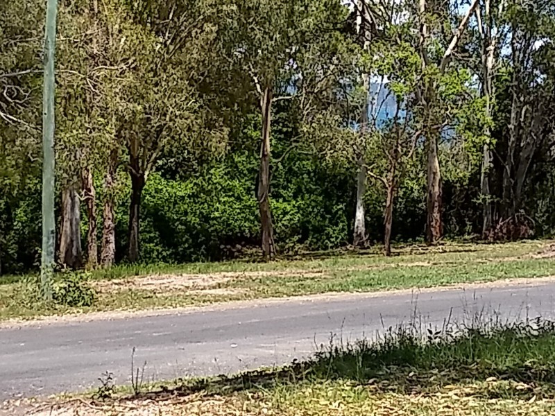 15 Cecily Terrace, River Heads QLD 4655