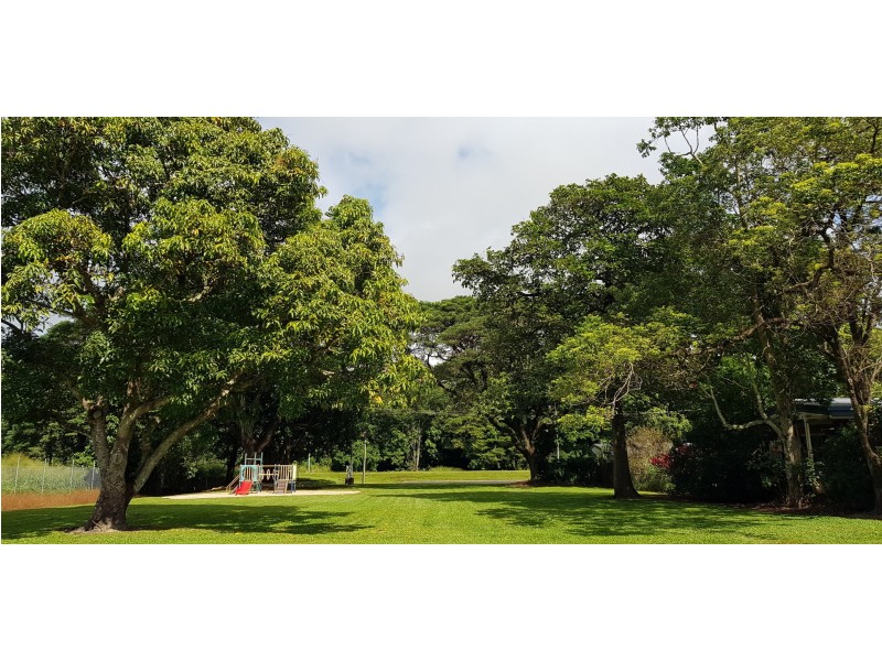 52 Wilks Street, Bungalow QLD 4870