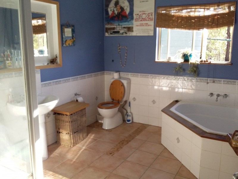 380 Settlement Road, Horse Camp QLD 4671