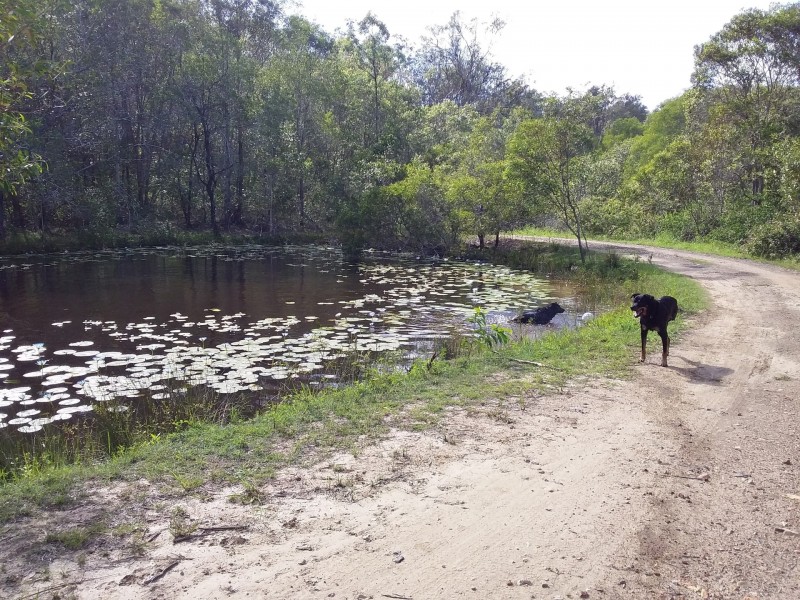 380 Settlement Road, Horse Camp QLD 4671