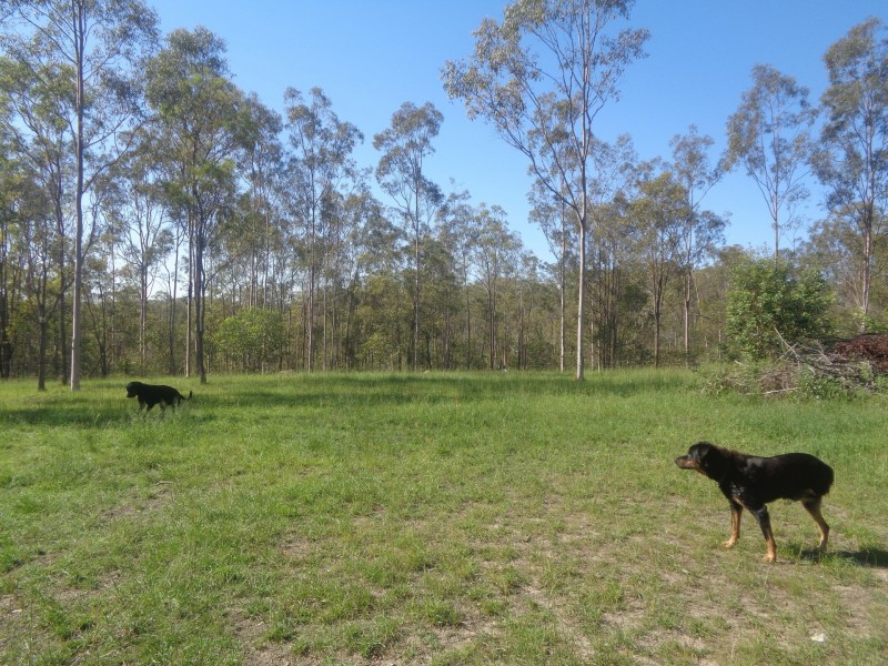 380 Settlement Road, Horse Camp QLD 4671